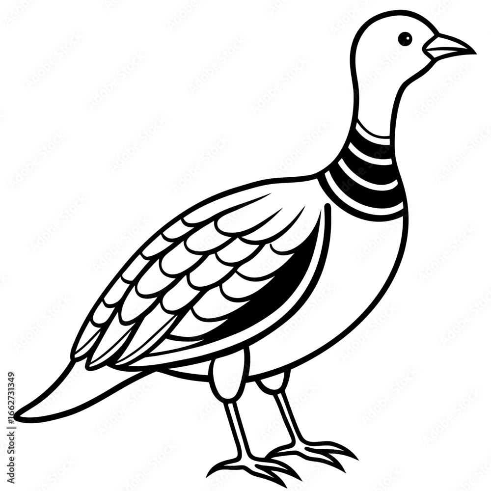 Fototapeta premium Woodcock line art vector