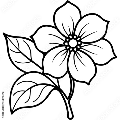 Dogwood line art vector
