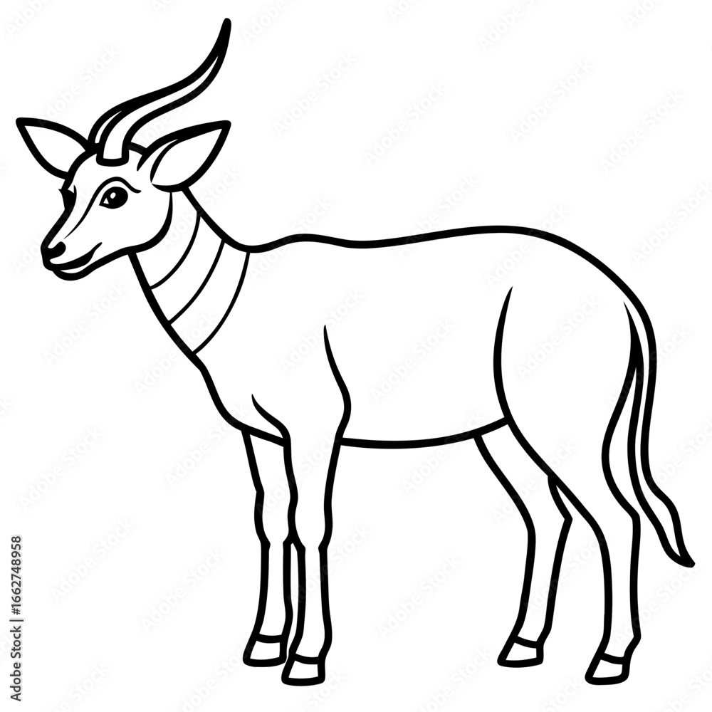 Obraz premium Saola line art vector