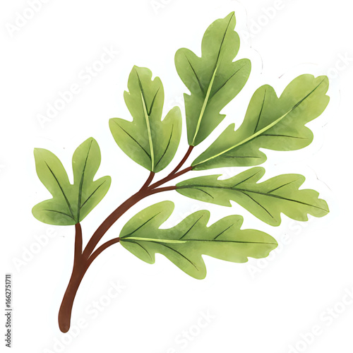 Copy of 