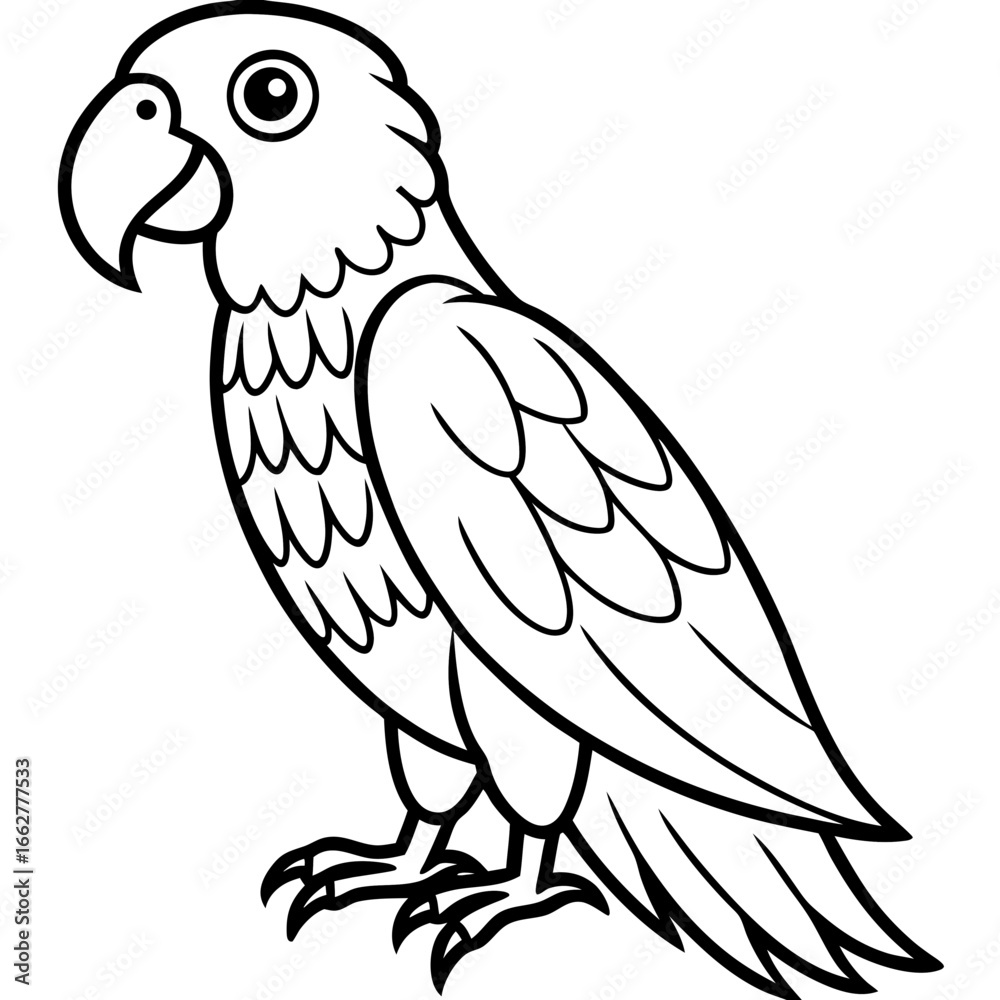 Fototapeta premium parrot line art vector