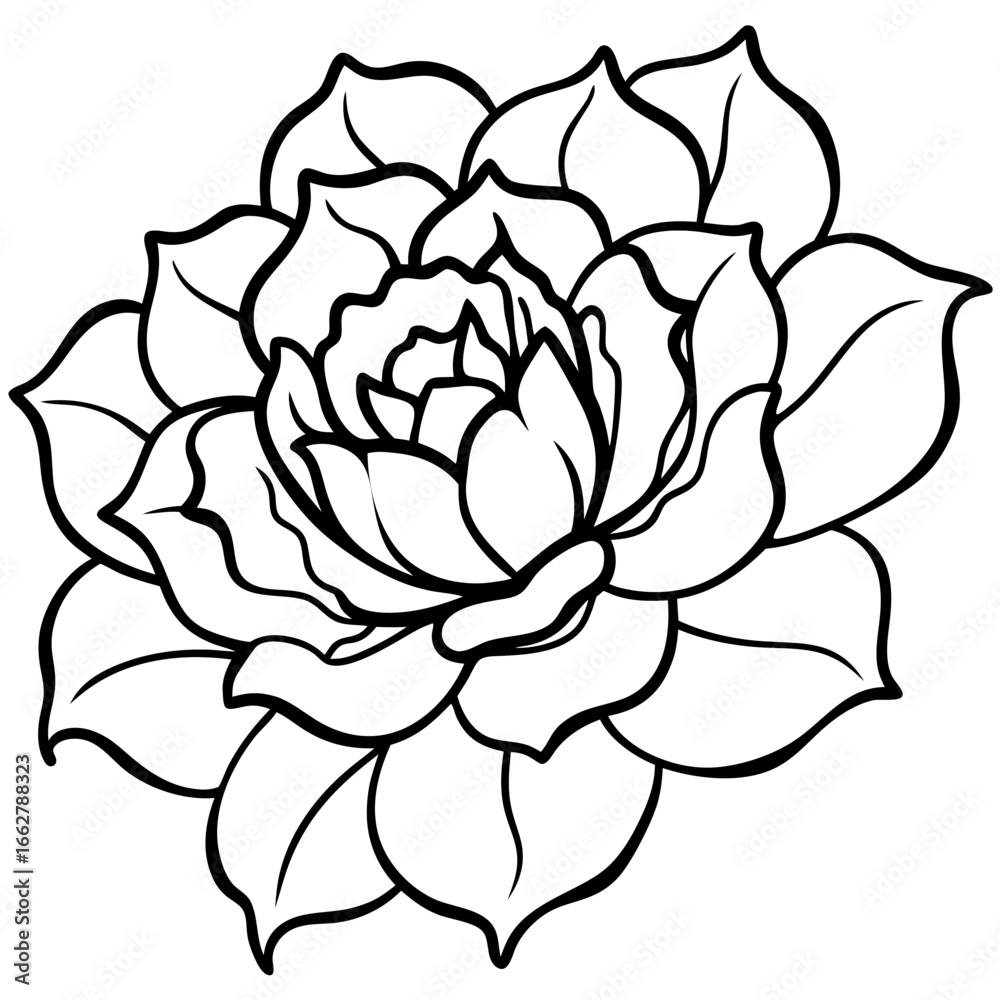 Obraz premium Peony art vector