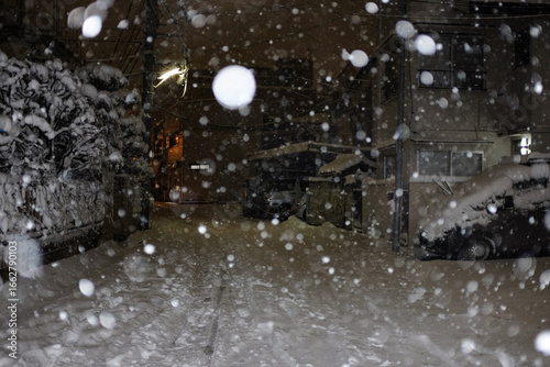 雪の降る夜道