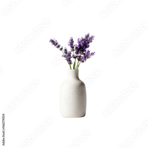 Simple Elegance Lavender in a White Ceramic Vase