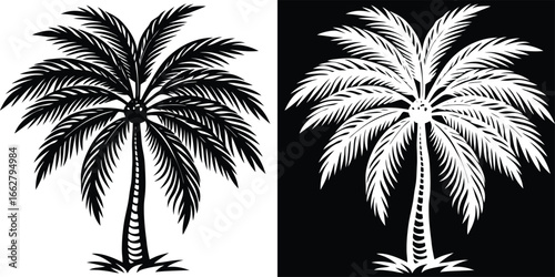 Vibrant tropical palm tree silhouette against contrasting black and white backgrounds, perfect for summer designs