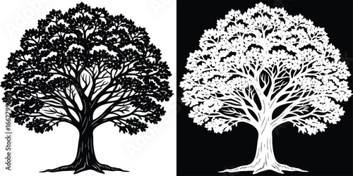 Stunning silhouette of a mature tree with intricate branches and lush foliage, perfect for nature and environmental themes.