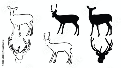 Collection of deer vector silhouettes. Vector white tail deer