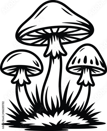 Detailed Mushroom Trio Line Art