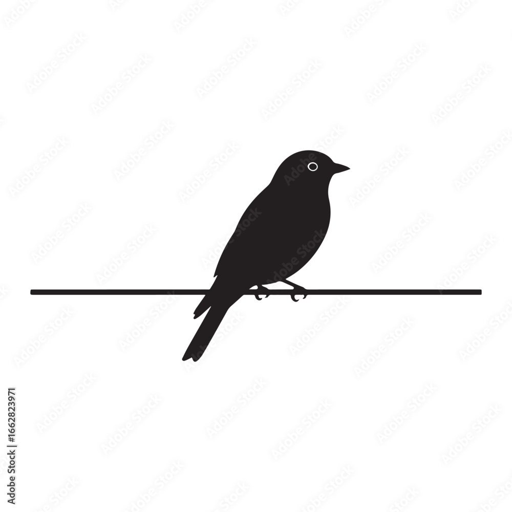 Silhouette of bird perched on branch Silhouette of bird perched on branch