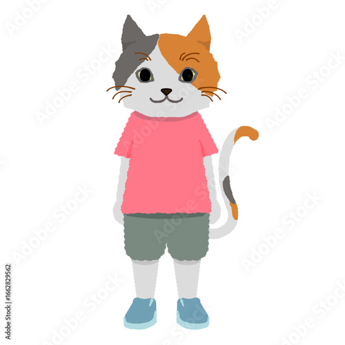 赤い服を着た直立で立っている三毛猫