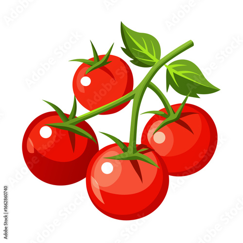tomatoes on a branch