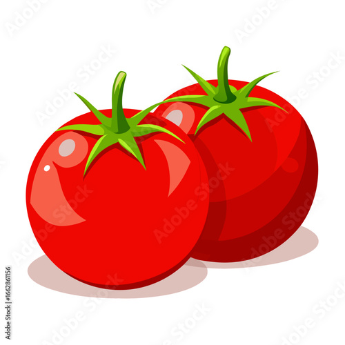 tomato vector illustration