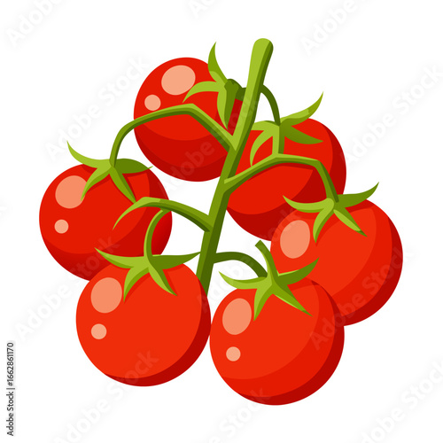 cherry tomatoes vector illustration