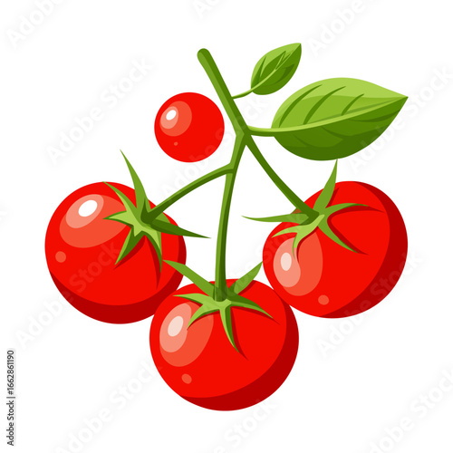 tomatoes on a branch