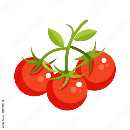 tomato on white background