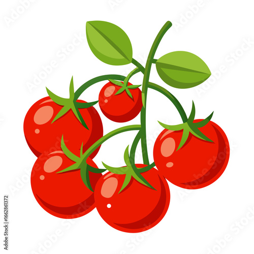 tomatoes on a branch