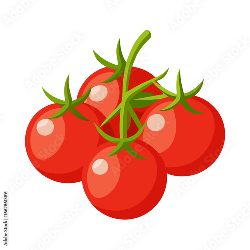 tomatoes on a vine