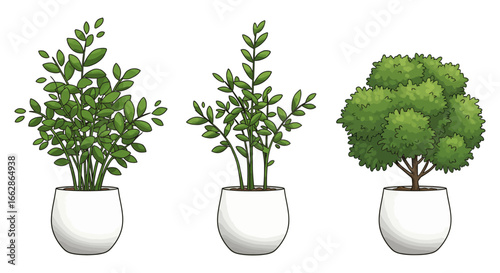 three potted plants in white pots enhancing home decor adding a touch of greenery to interior spaces for eco-conscious lifestyle blogs and design magazines