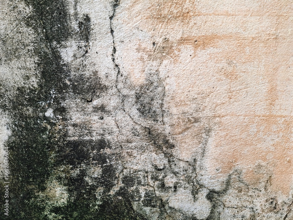 Fototapeta premium Old stone wall texture background