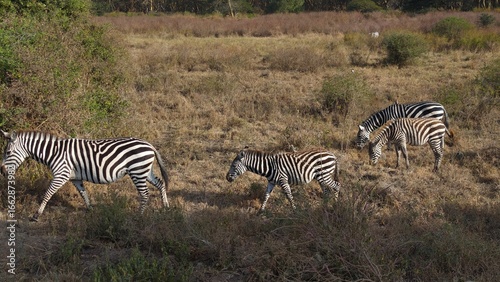 Nairobi National Park, Nairobi, Kenya