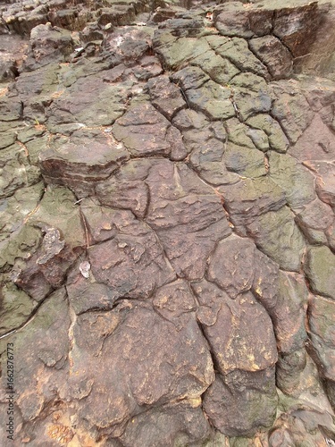 dry cracked earth
