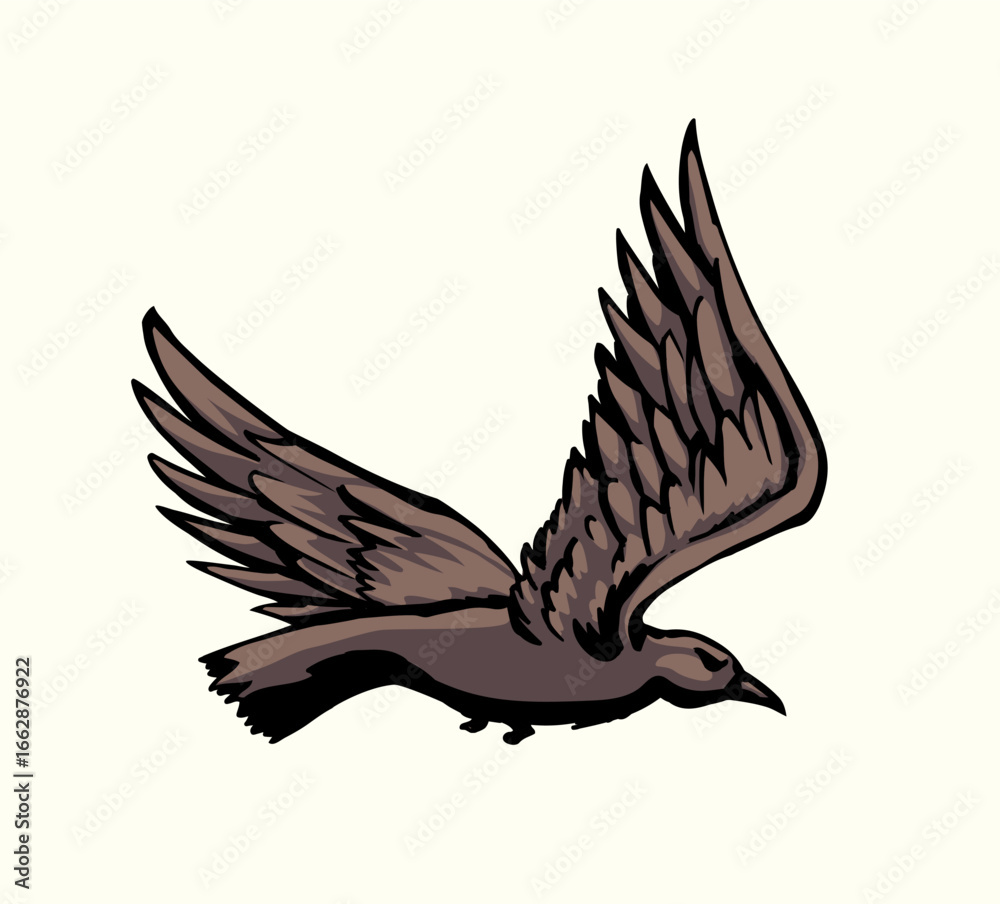Obraz premium Vector drawing. Big flying bird
