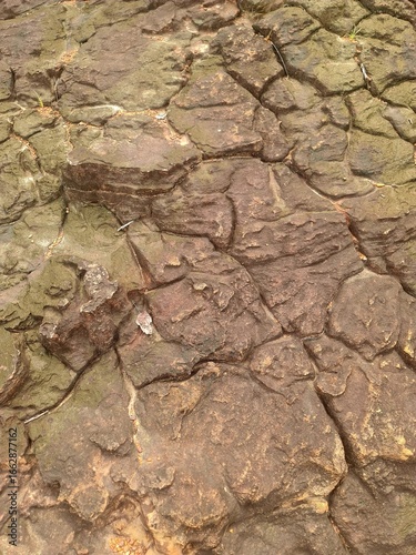 dry cracked earth