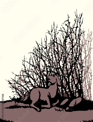 Vector drawing. The sheep got lost in the thorn bushes