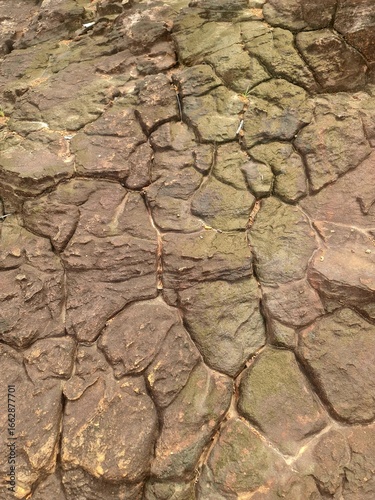 dry cracked earth