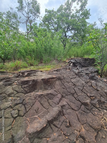 dry cracked earth