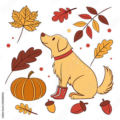 Relaxed Golden Retriever with wearing rain boots, set in a charming Autumn theme – Autumn Leaves color vector art