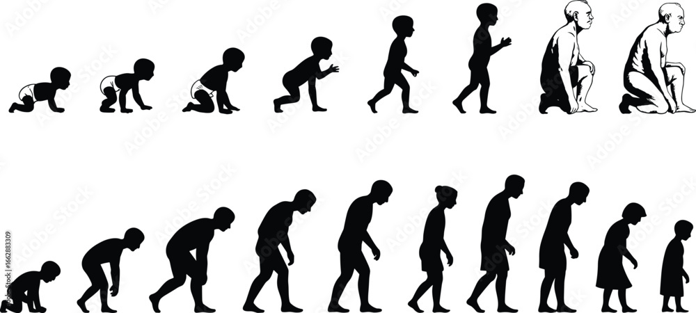 Naklejka premium Human growth and aging evolution from crawling baby to elderly adult, silhouette timeline of life stages, life cycle, development, and decline concept