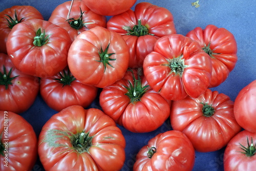 Pomodori cuore di bue freschi esposti al mercato