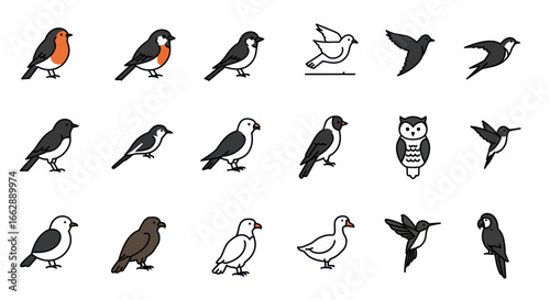 Diverse collection of stylized bird icons with bold outlines. Set includes various species like robin, owl, and swallow in cartoon style.