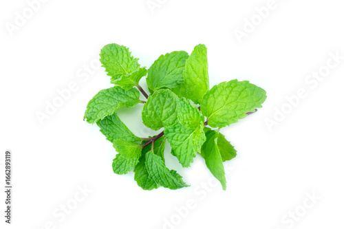 mint isolated on white background, Group of fresh raw green mint (Mentha) leaves and purple branches isolated on white background close up stack.