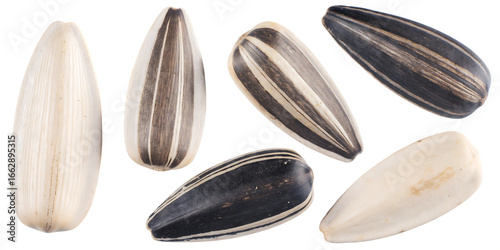 Assortment of sunflower seeds with striped and plain shells food snack isolated on a transparent background