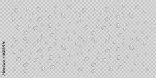 Transparent Water Droplet PNG Vector