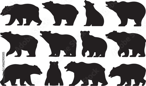 Bear Silhouette Roaring Walking Poses Wildlife Animal Forest Creature