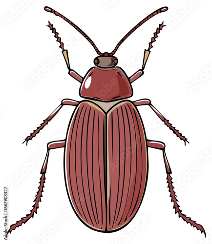 Stylized illustration of a brown beetle, insect with detailed body