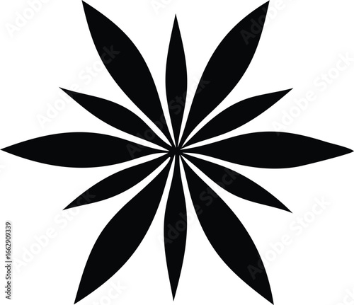 Abstract black petal starburst design decorative element elegant symmetrical geometric shape for graphic design projects