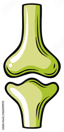 Illustration of human knee joint showcasing bones cartilage ligaments for educational medical content