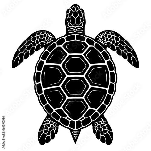 Highly Detailed Black and White Vector Graphic of a Sea Turtle or Marine Tortoise Viewed Directly from Above