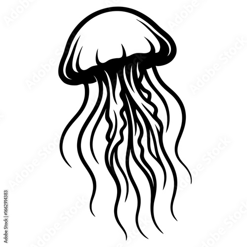 Elegant black and white vector illustration of a jellyfish with flowing tentacles. Perfect for marine life, ocean themes, or abstract designs.