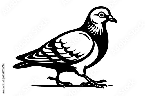 A stylized black and white graphic of a pigeon walking, with detailed feathers and a sharp eye. A classic representation of an urban bird.
