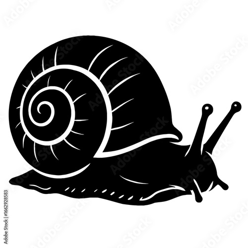 Black silhouette of a garden snail with a spiral shell, isolated on a white background for various design projects.
