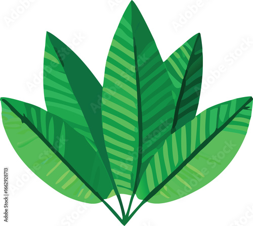 Vibrant green leaves bunch fresh tropical plant foliage nature botanical element for design and decoration