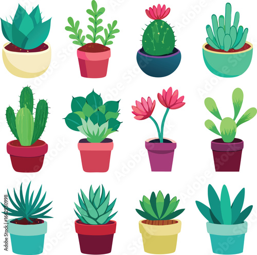 Collection of assorted potted succulents and cacti featuring vibrant green foliage and colorful flower accents in various pots