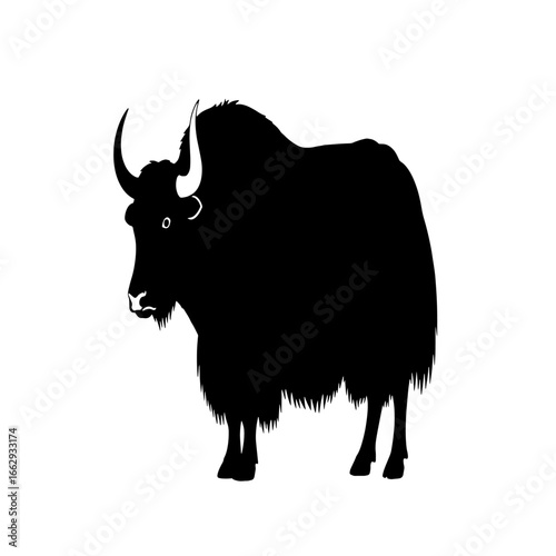 Silhouette of a majestic yak, standing, long fur, curved horns.