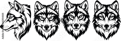 Wolf vector set, black illustrations, wild canine graphics, animal head designs, fierce and bold style, tribal wolf art, tattoo elements