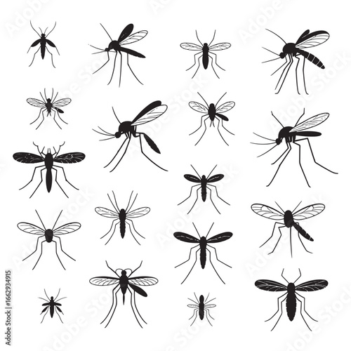 A large collection of black mosquito silhouettes in various sizes and poses for pest control and nature designs, vector illustration
